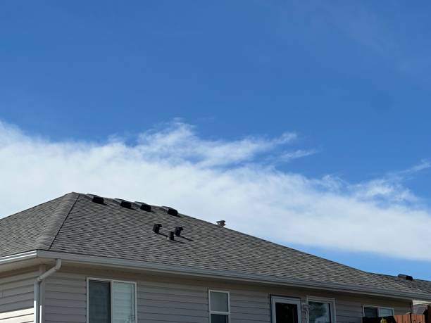 Best Roof Leak Repair  in Plymouth, NC